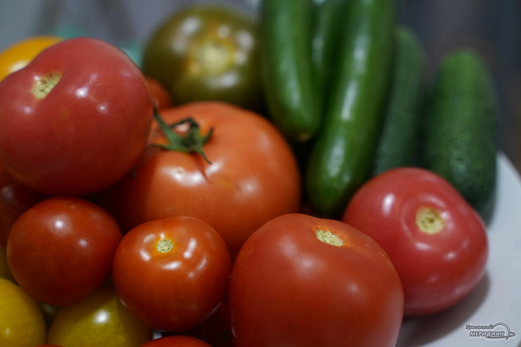    Фото: Лидия Аникина © ИА "Уральский меридиан"