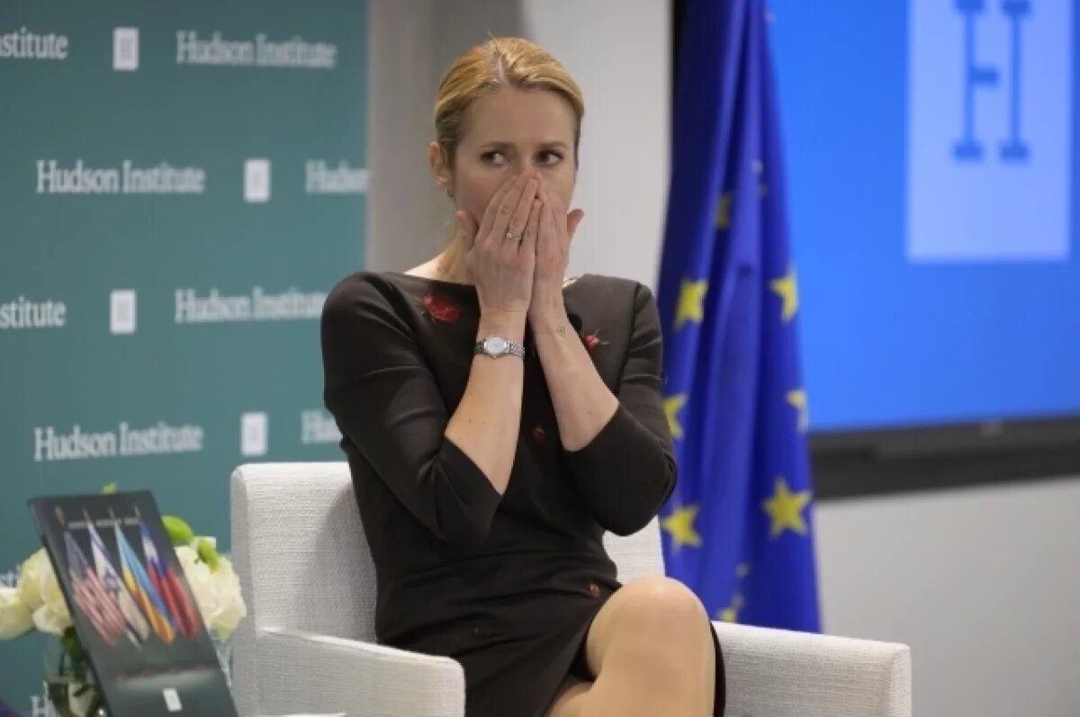    Депутат Европарламента Зоннеборн сравнил Каллас с хомяком по интеллекту