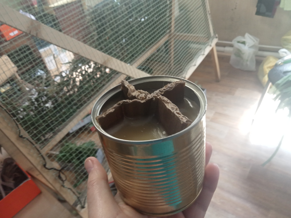 На такой "окопной свече" можно разогреть обед 