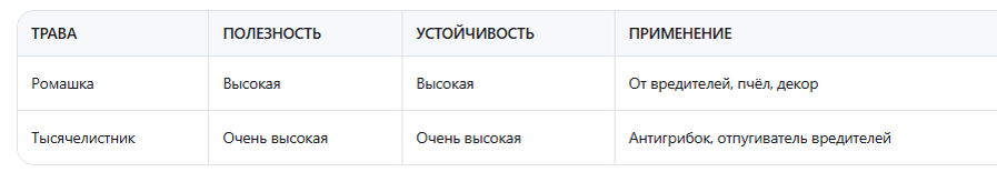 Ромашка и тысячелистник