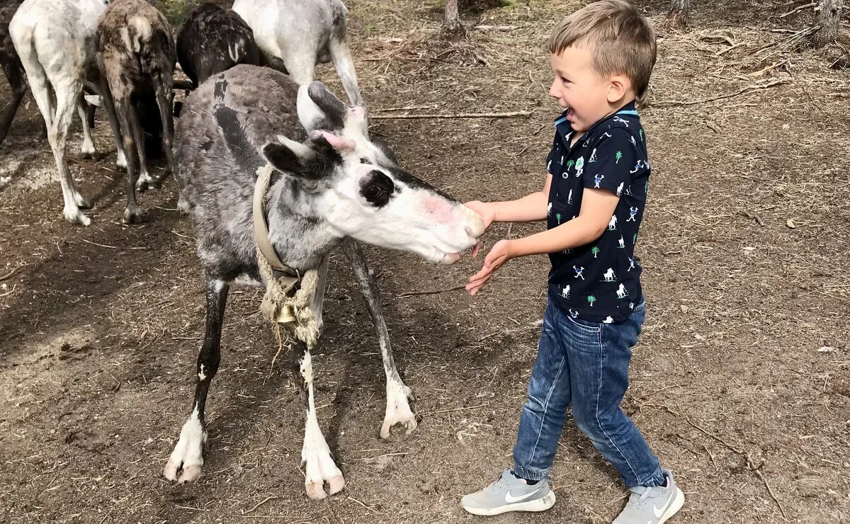    ТОП-10 необычных праздников в Арктике в 2025 году