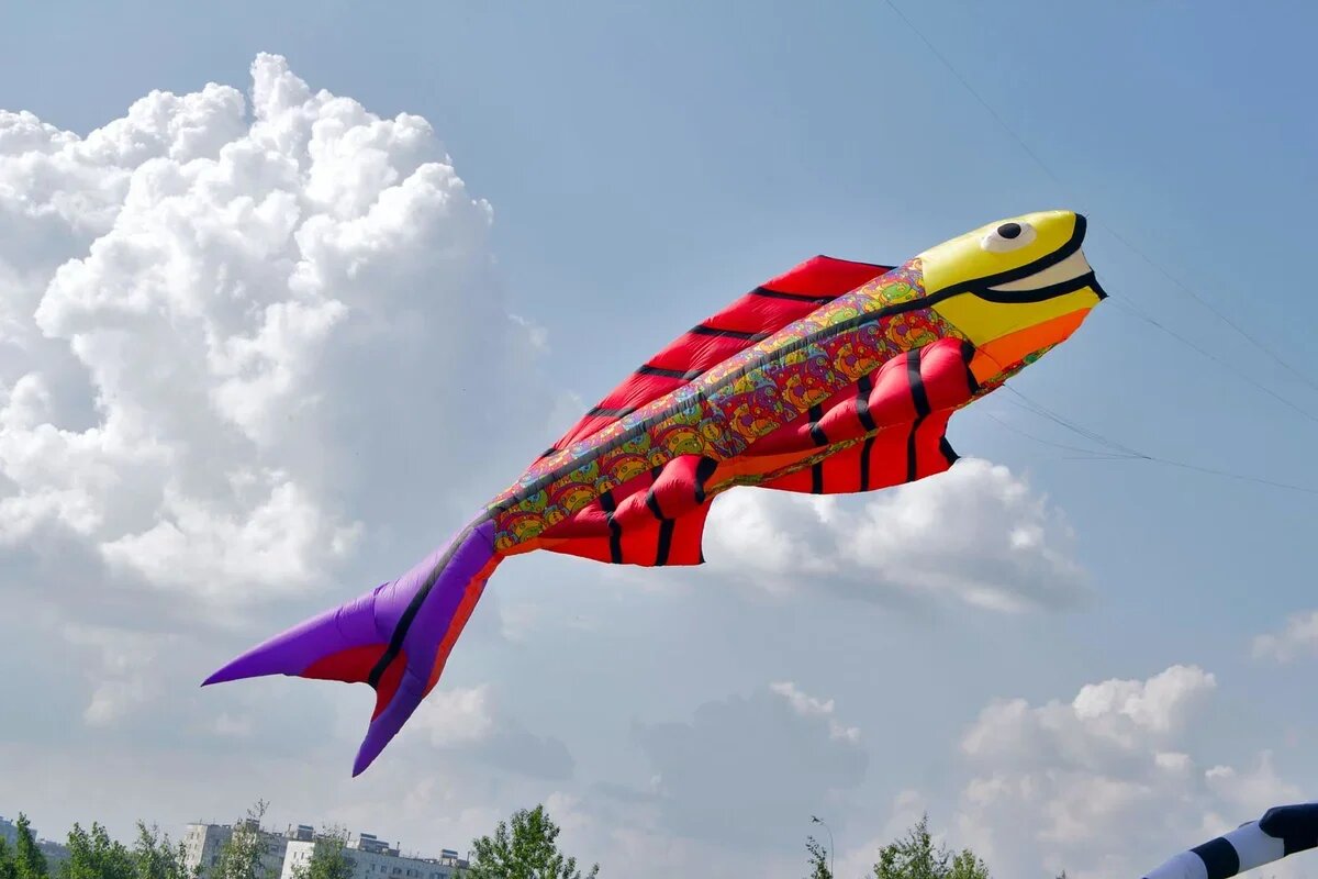    Фестиваль воздушных змеев. Фото: Фотобанк Moscow-Live, CC BY-NC-SA 2.0, flickr.com