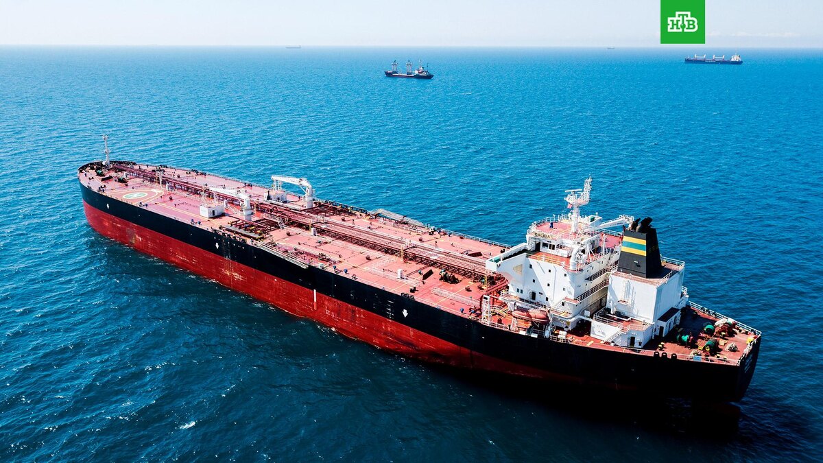    Фото: РИА Новости © 2025, Виталий Тимкив