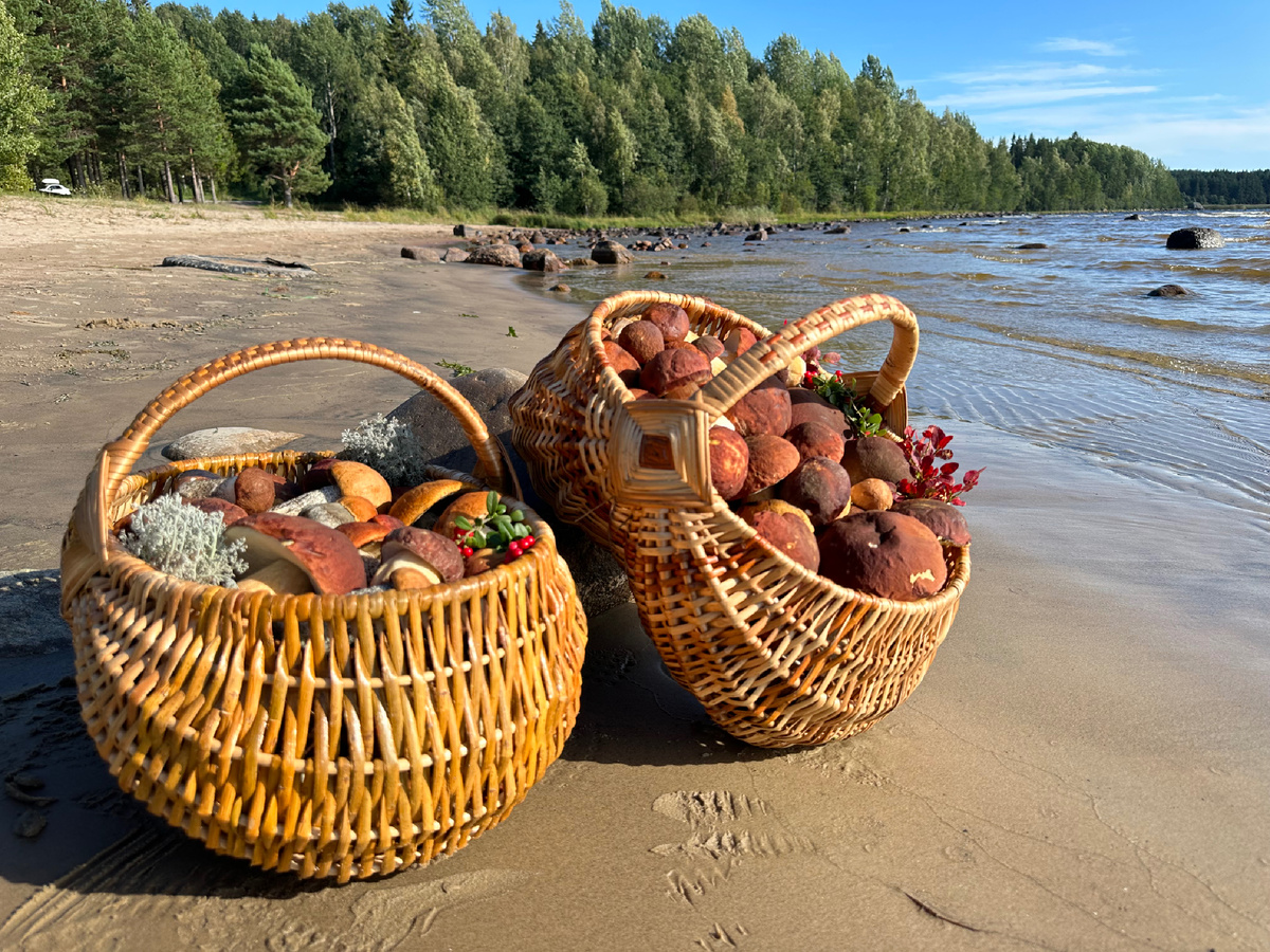 Фото 2022 г. Карелия