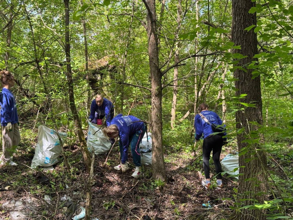    Волонтеры провели акцию по очистке природоохранной зоны «Артёмовских лугов»