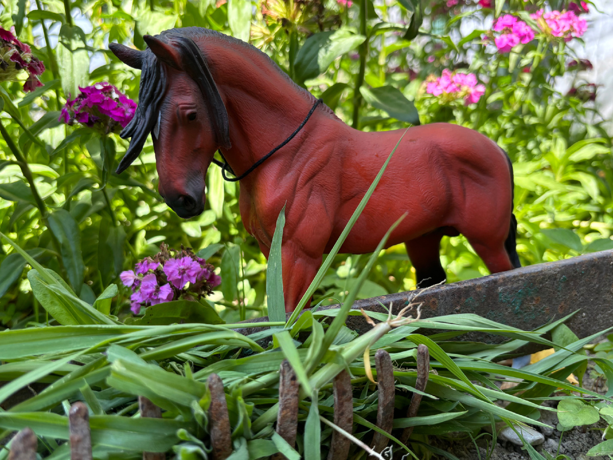 Фото моей коллекционной лошади )) Об этом тоже ,есть что рассказать 