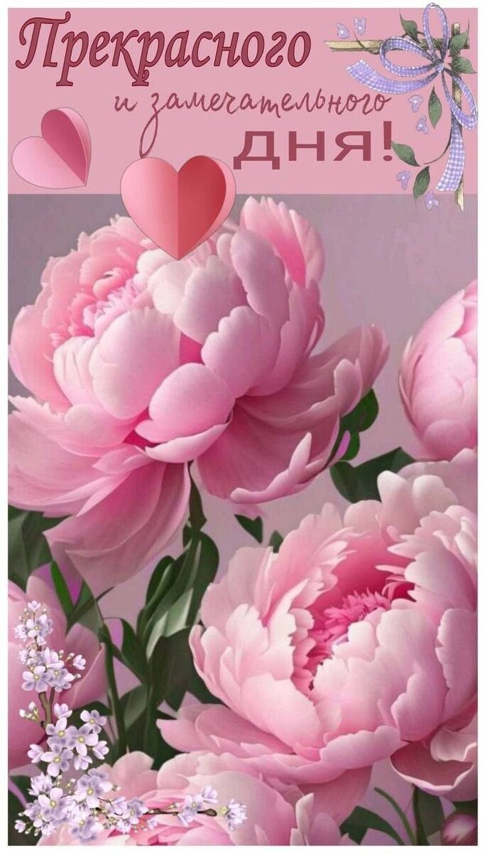 Фото из интернета.