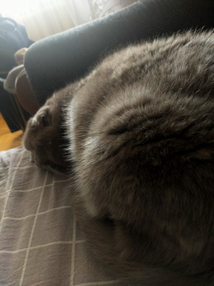 Фото автора.