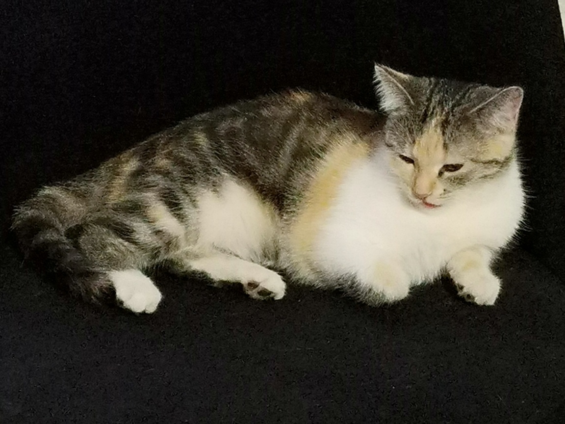 Даже и не знаю, какой совет тут можно дать! Честно.