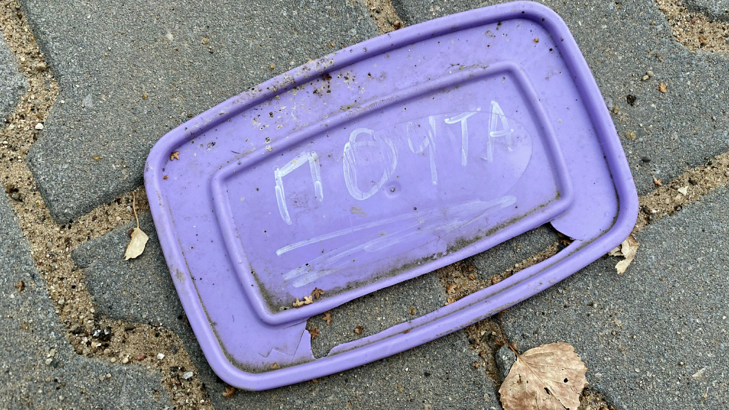    Фото: Alexander Legky/Globallookpress