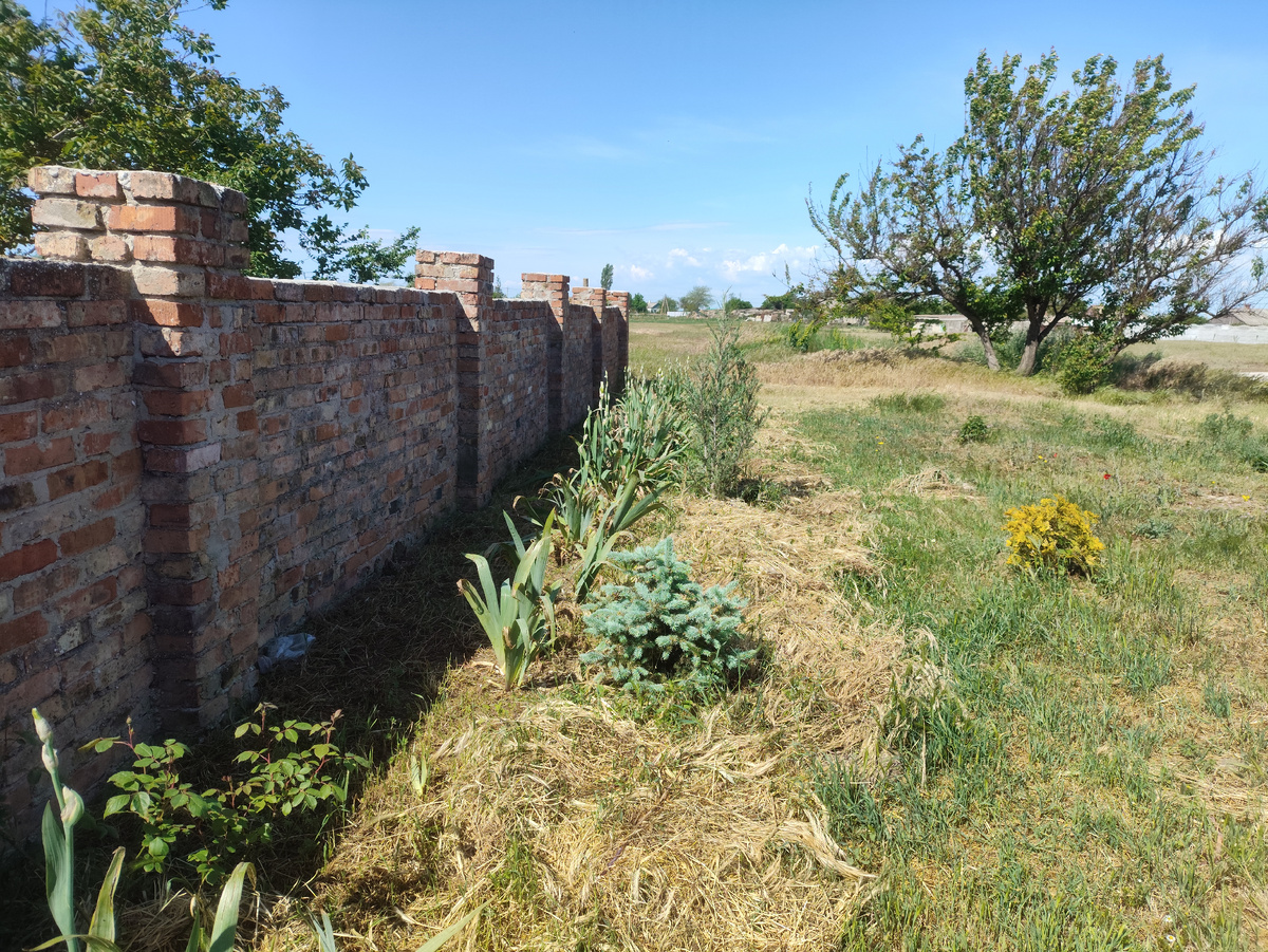 Тут все чистенько, даже саено уже высохло, надо собрать...