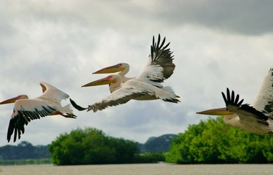    Фото: analitcentre.by