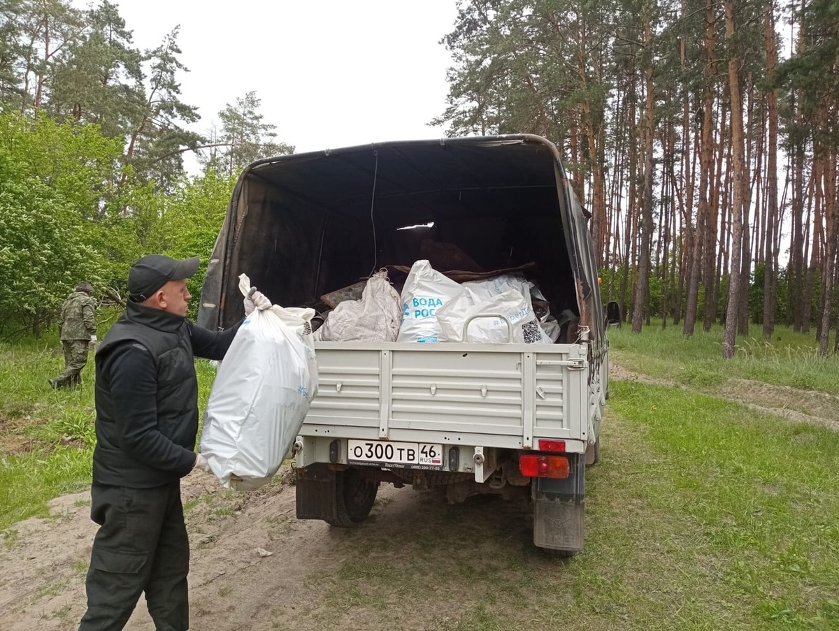    Свалки убраны: курский лес под контролем