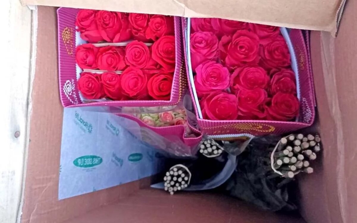    Зараженные розы из Белоруссии пытались провезти в Смоленскую область