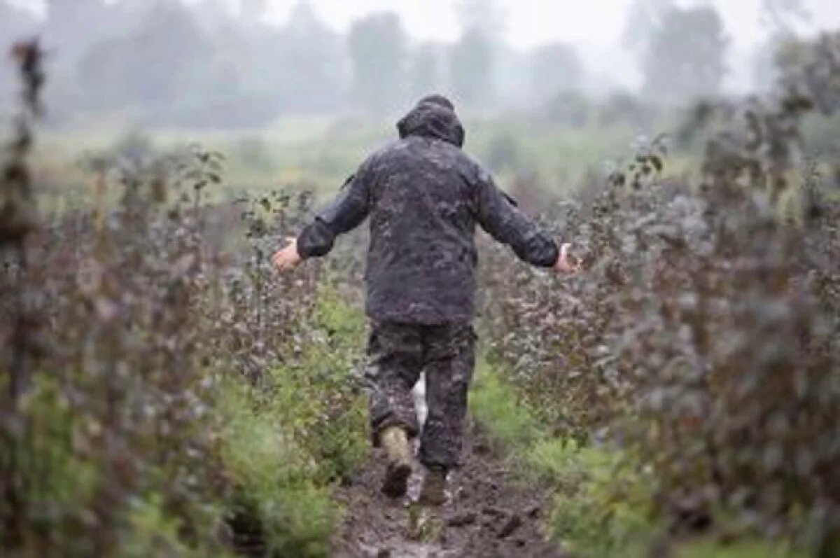    «Пора объявлять ЧС!»