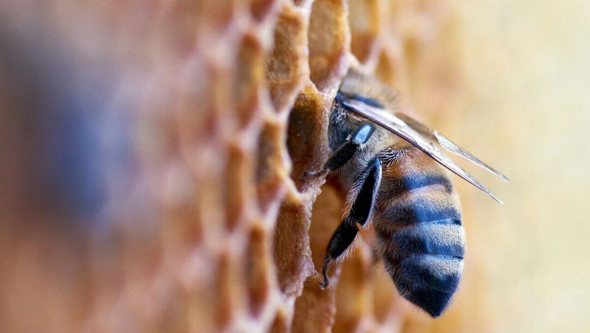     Автор: Unsplash