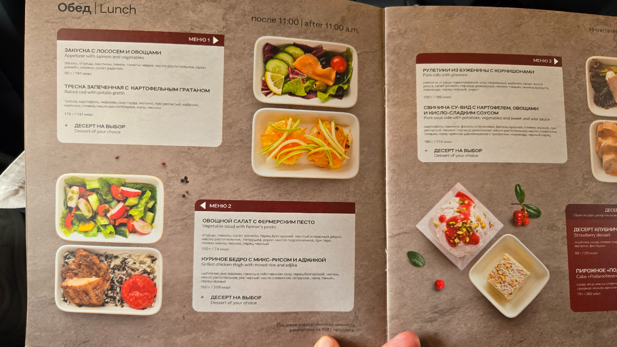 САПСАН. Поезд "Москва - Санкт-Петербург". ОБЕД (варианты меню)