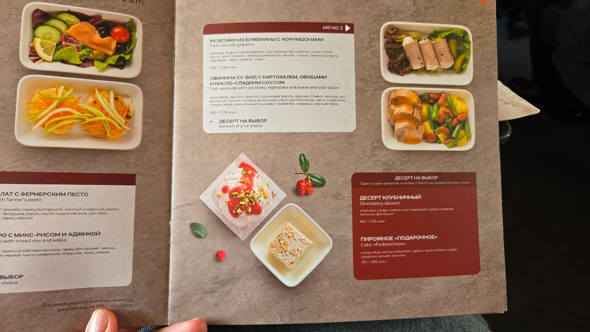 САПСАН. Поезд "Москва - Санкт-Петербург". ОБЕД (варианты меню)