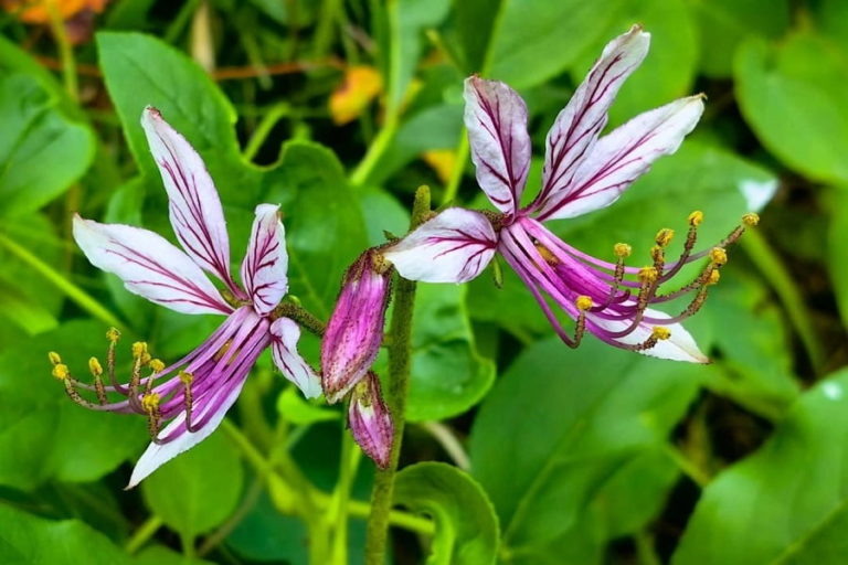 Фото: Наталья Мартынюк