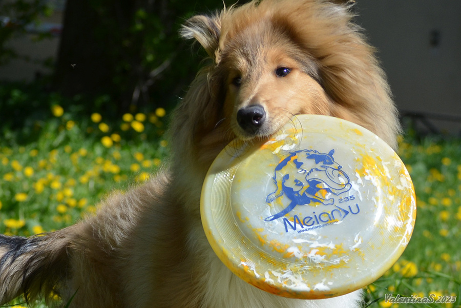 Фото из личного архива