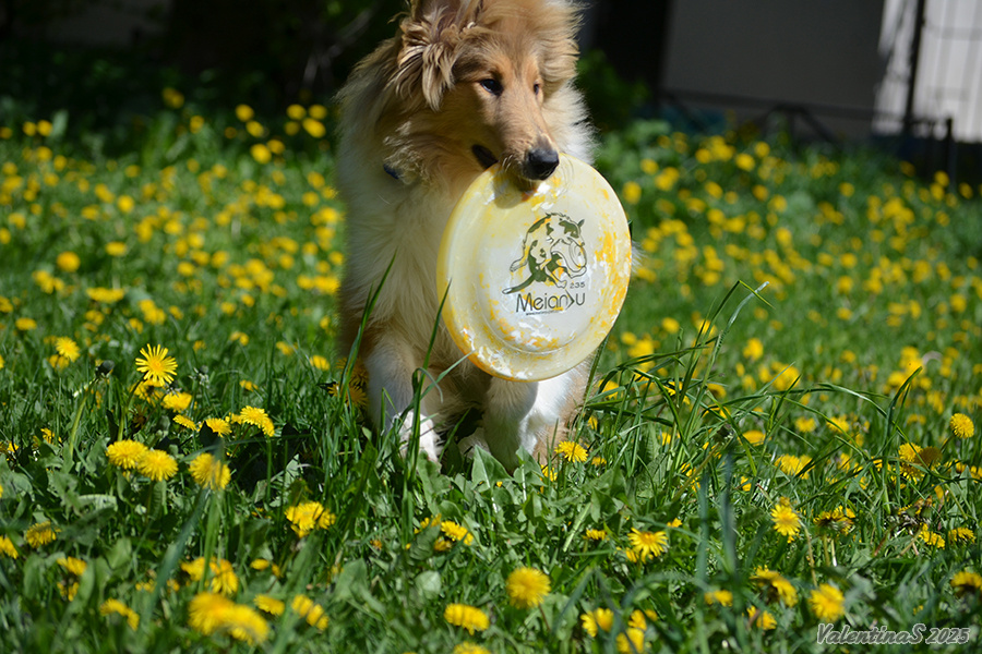 Фото из личного архива