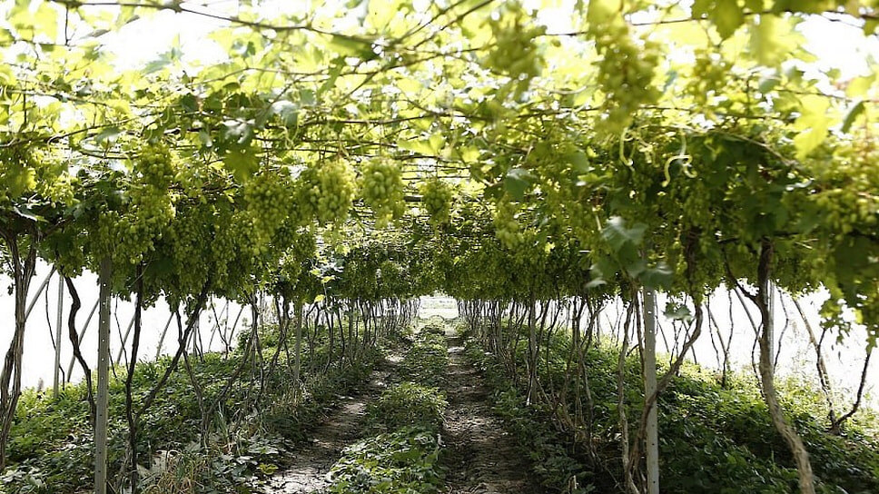 Фото: пресс-служба администрации Новороссийска