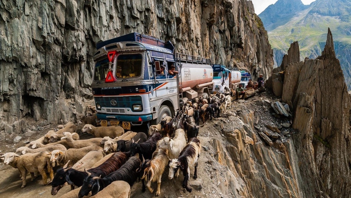 Источник: cdn.fishki.net