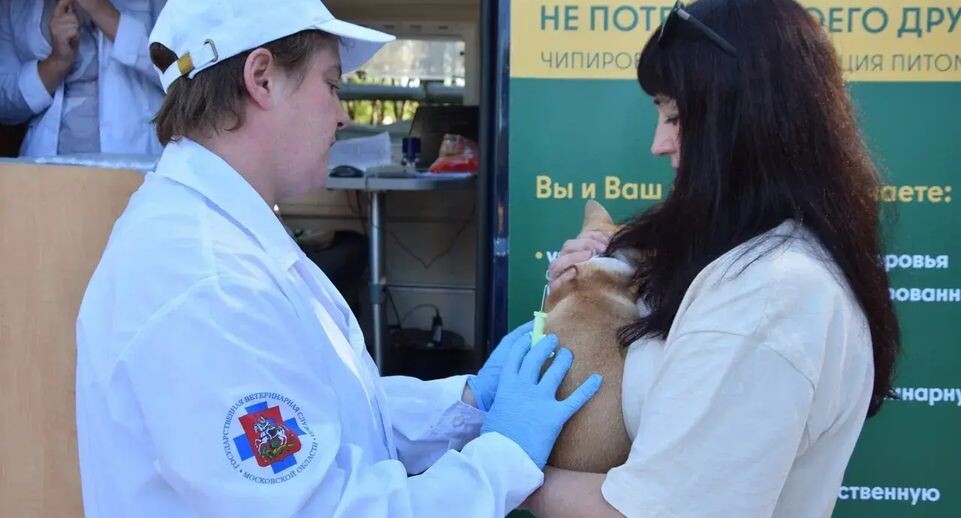    Пресс-служба Министерства сельского хозяйства и продовольствия Московской области