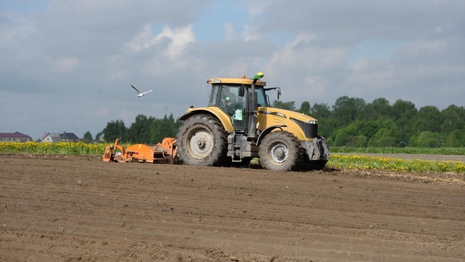    Автор фото: Вдовин Сергей