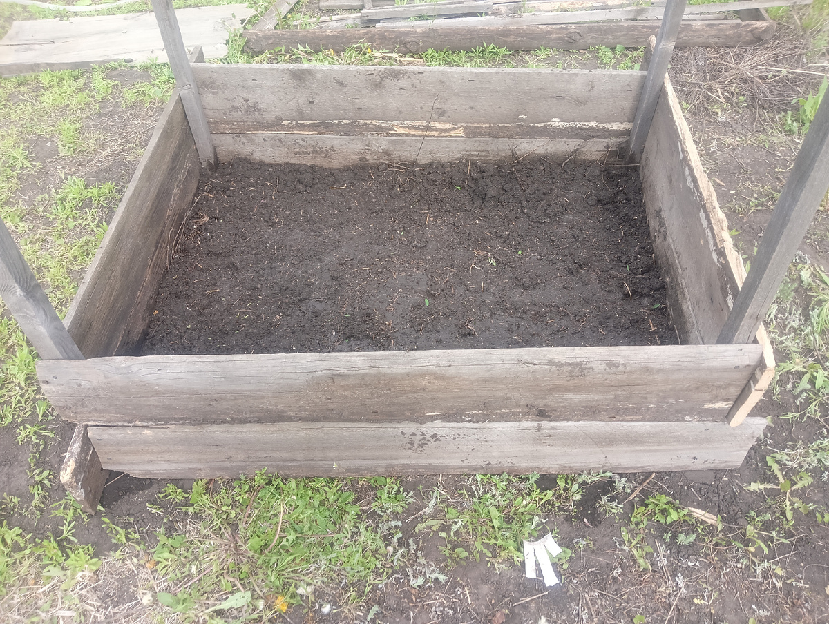 Короб огуречника 19.05.2025