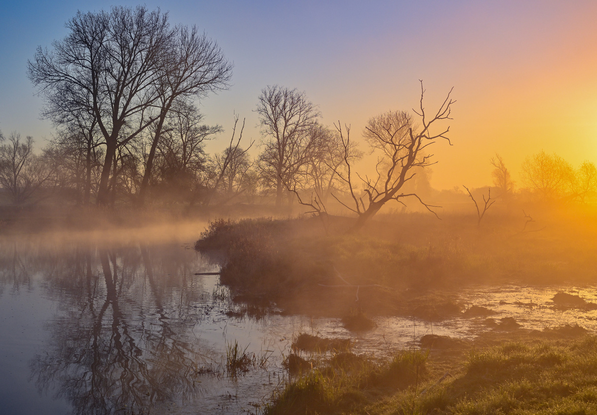фото: Patrick Pleul/dpa/Global Look Press
