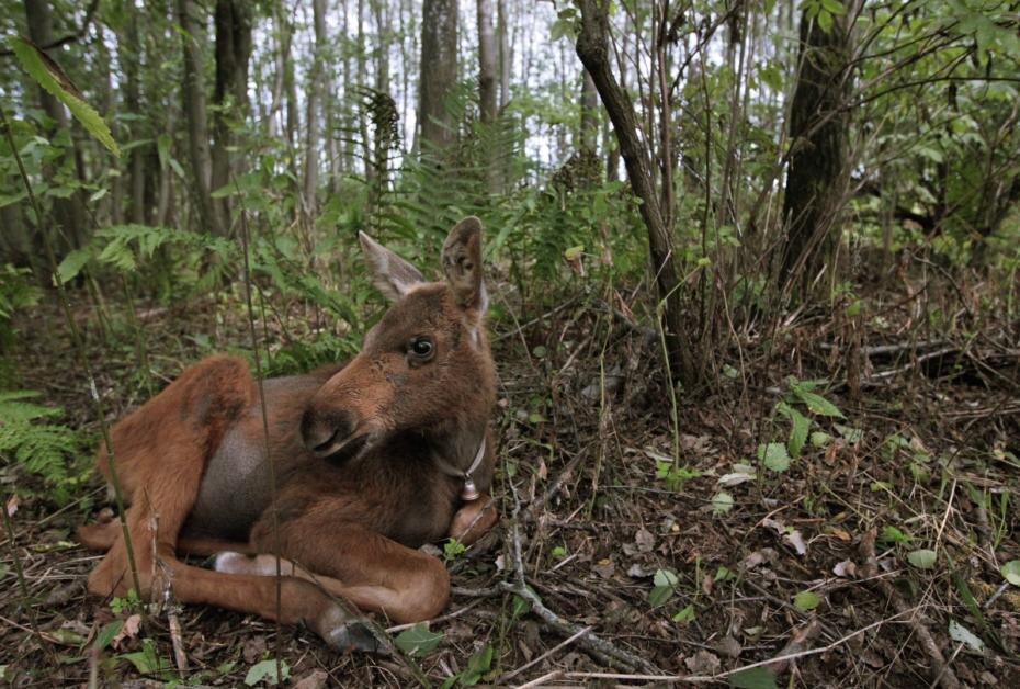    Валерий Мельников/РИА Новости