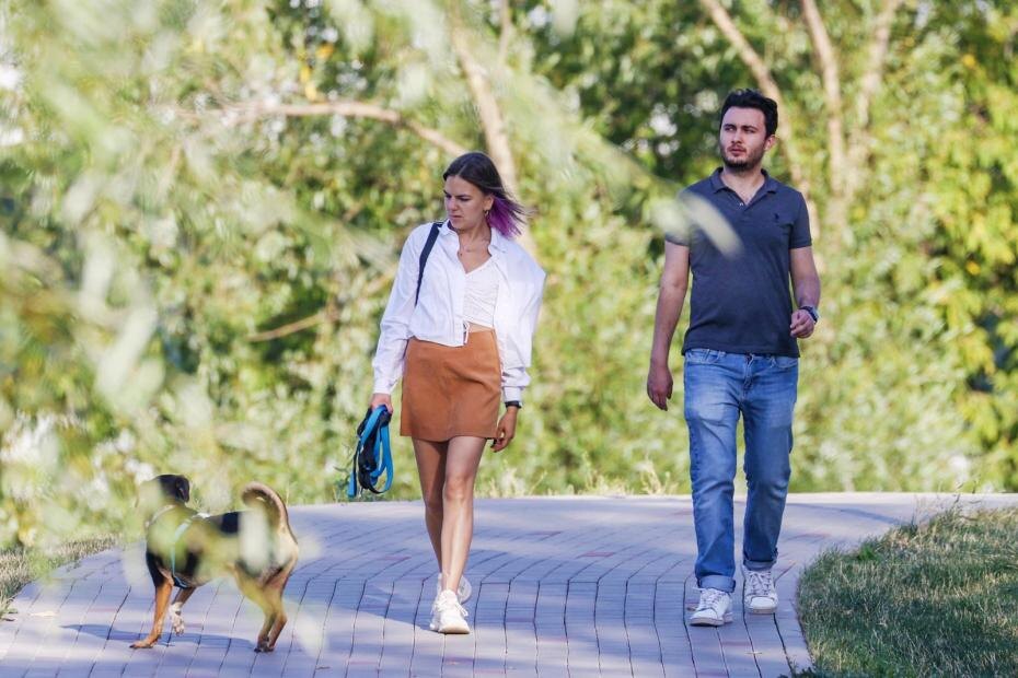    Сергей Булкин/NEWS.ru