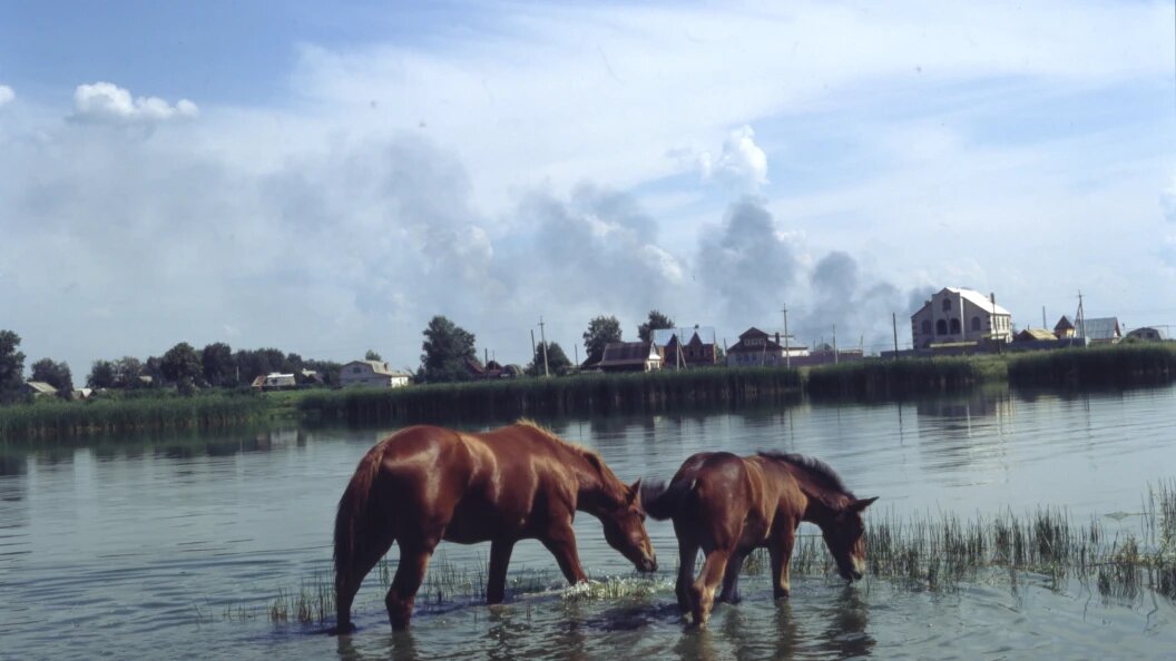    Фото: Evgeniy Kanaev/Globallookpress