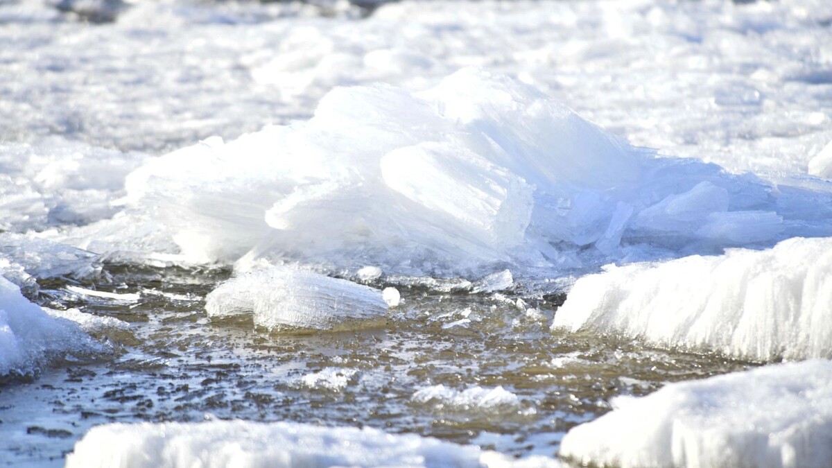    Фото: Андрей Ткачев/«Ямал-Медиа»