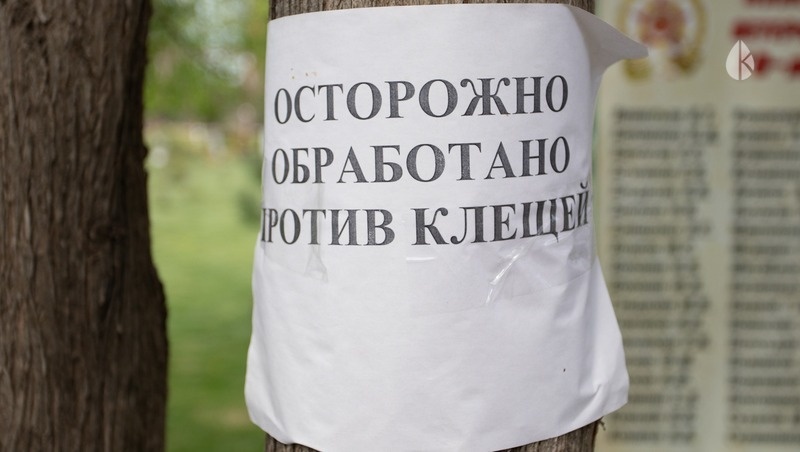      Фото: Дмитрий Ахмадуллин / / ИА «Победа26»