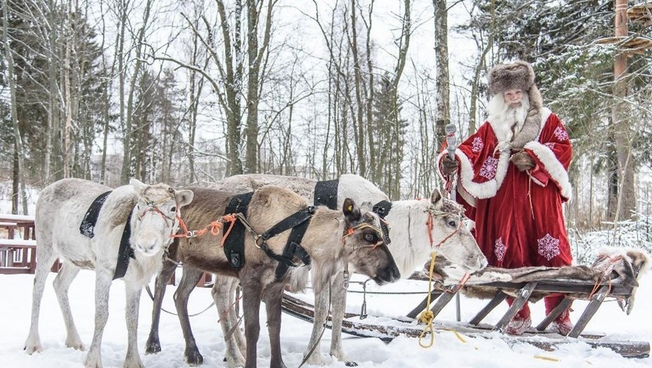    Автор фото: gov.karelia.ru