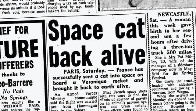 Статья о полёте Фелисетт в мировых СМИ