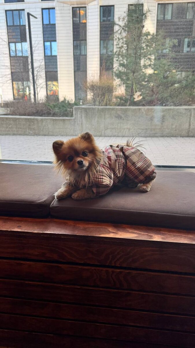 Оливка в Surf Coffee