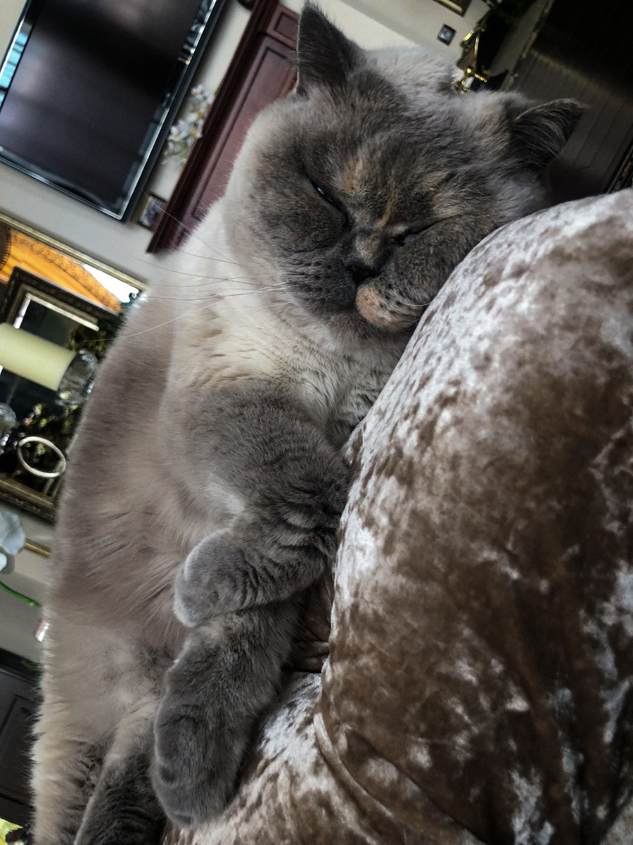 Буська Лапуська №1