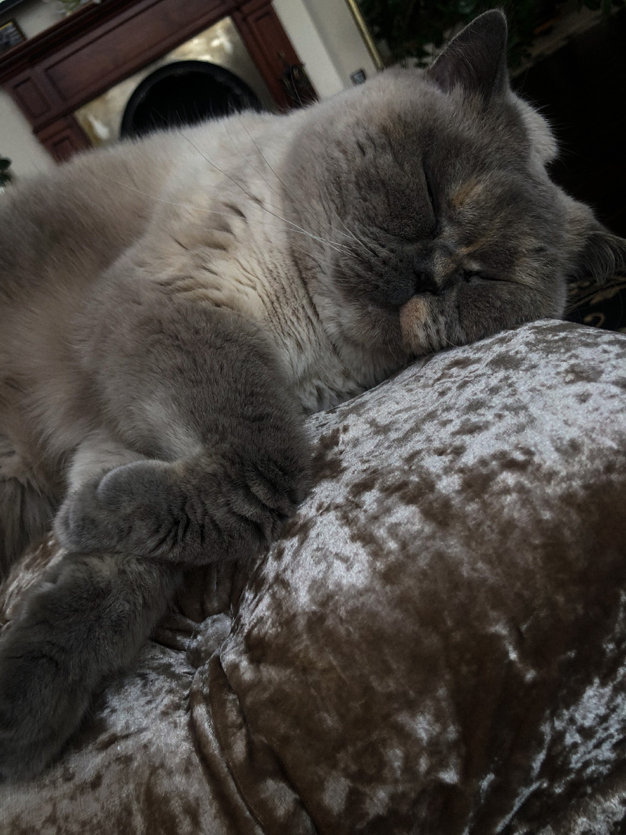 Буська Лапуська №2