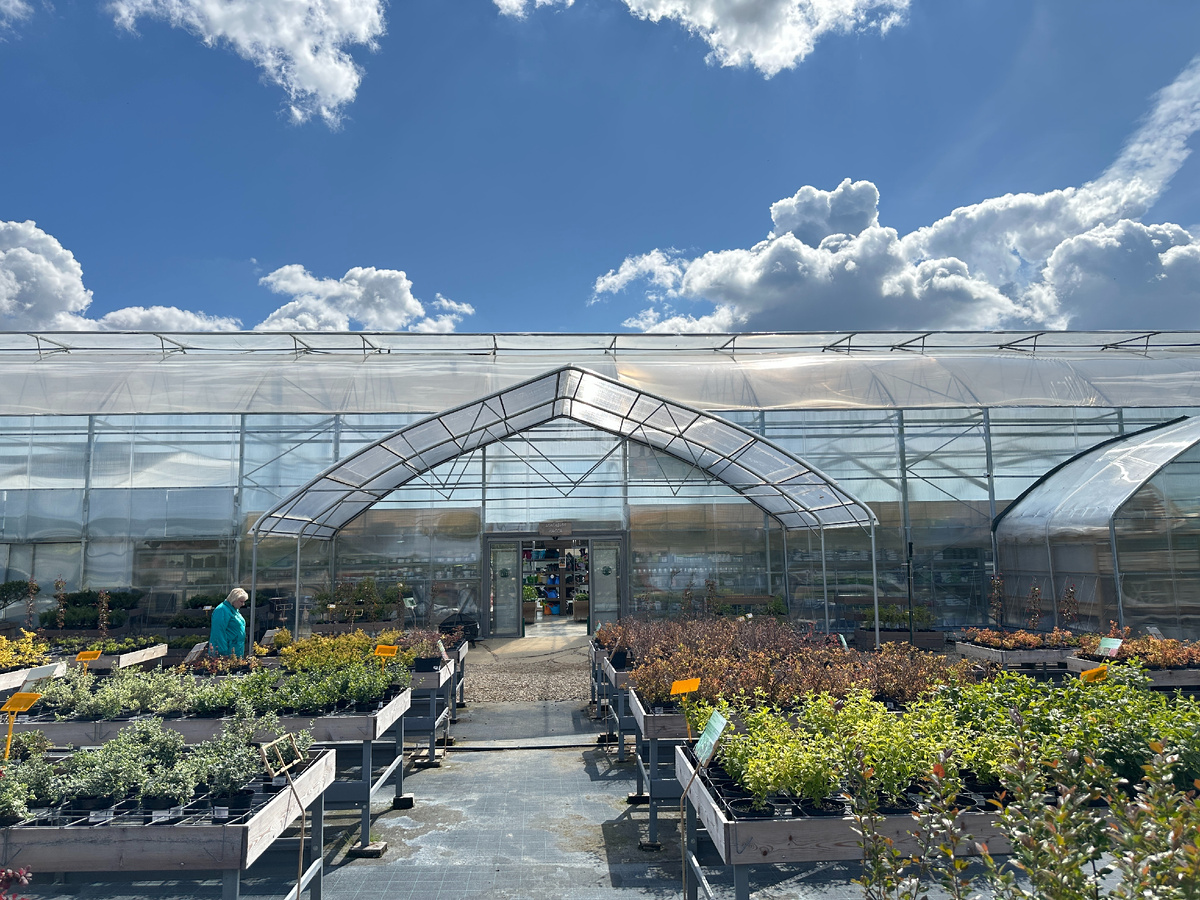 Не парадный вход - и все-таки!