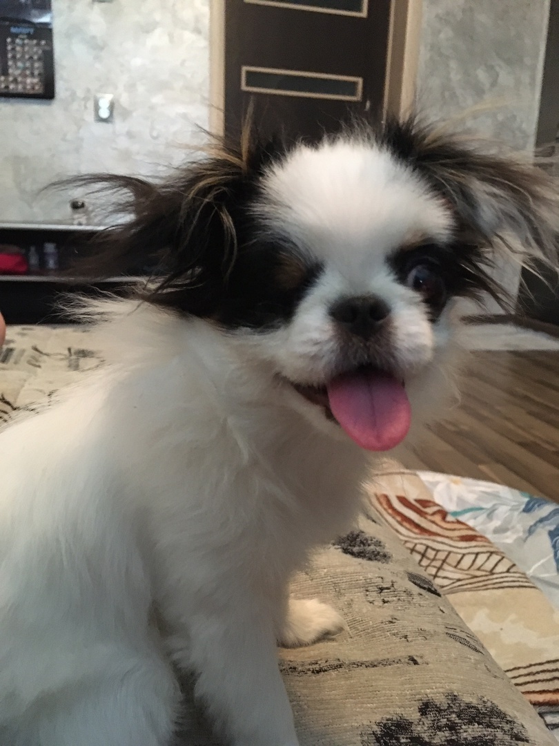 Знакомьтесь – это Лялюшка))