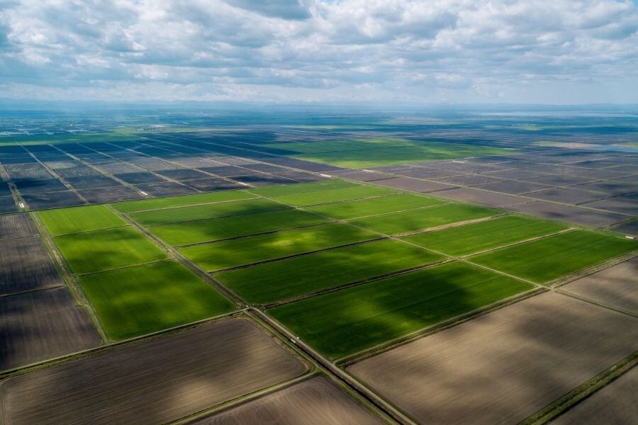     / Источник: © Виталий Тимкив/РИА Новости