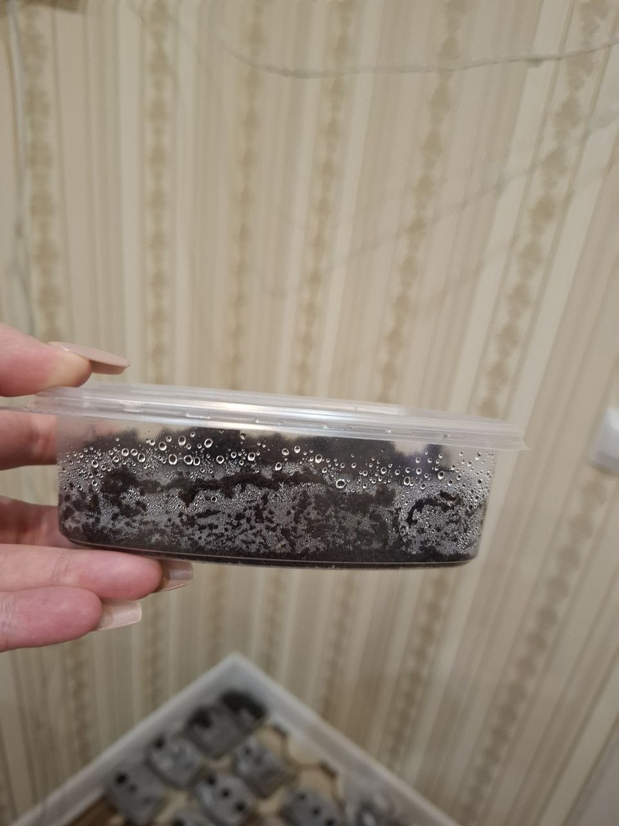 Пример контернера