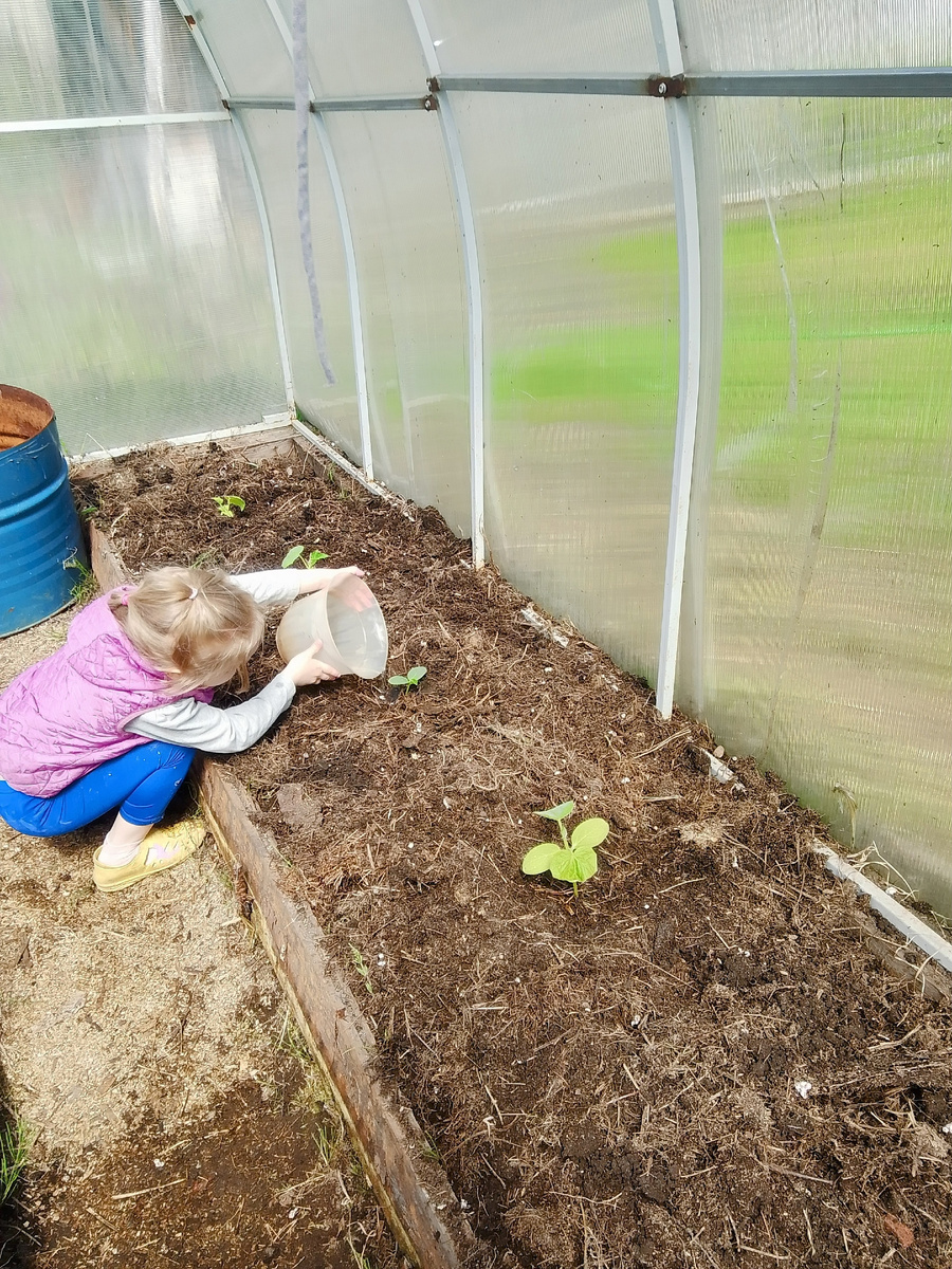 Внешний вид у дочери чисто для дворовых прогулок