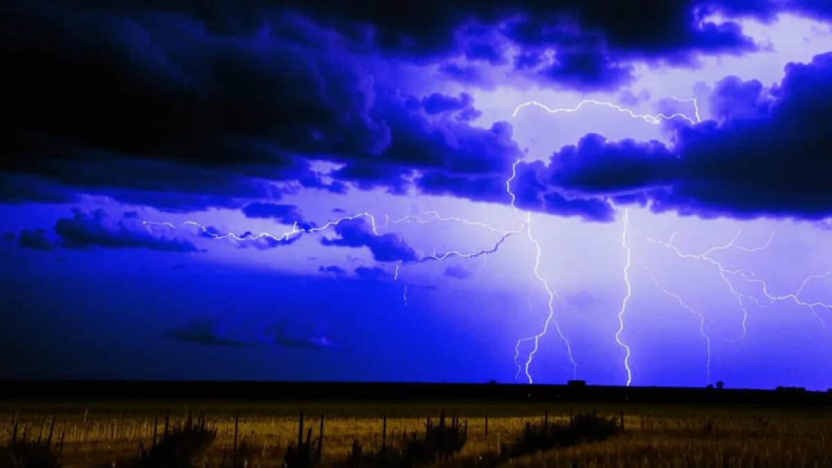    Сгенерировано ИИ