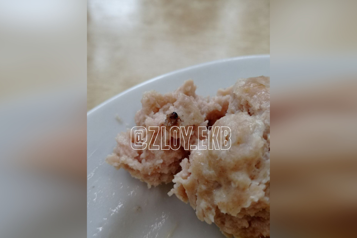    Фото: ТГ-канал «Злой Екатеринбург»