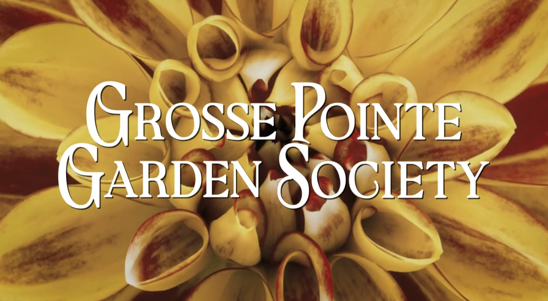 Кадр из сериала Общество садоводов Гросс-Пойнта