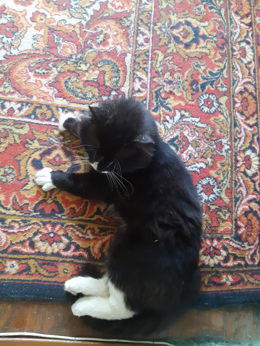 А ходили мы нонича до городу Парижу 